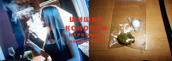 шишки Алзамай