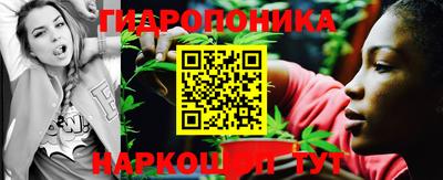 стаф Рязань