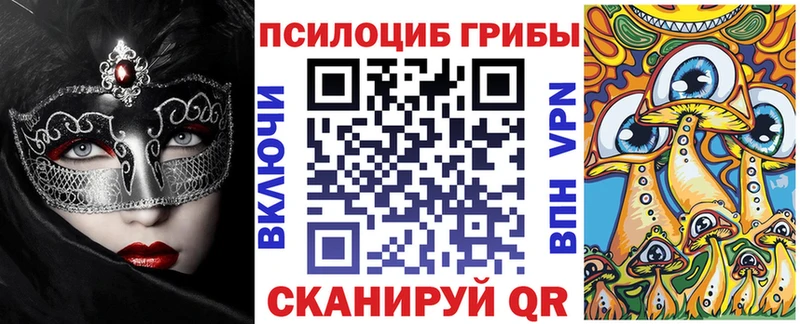 как найти закладки  Топки  Галлюциногенные грибы GOLDEN TEACHER 